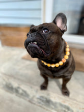 Load image into Gallery viewer, Caramel Resin Bead Collar