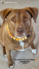 Load image into Gallery viewer, Caramel Resin Bead Collar