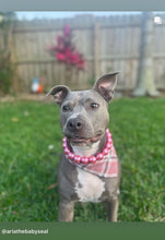 Load image into Gallery viewer, Chunky Rose Pink Pearls Acrylic Bead Collar