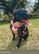 Load image into Gallery viewer, Chunky Rose Pink Pearls Acrylic Bead Collar