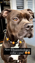 Load image into Gallery viewer, Conqueror Bead Collar