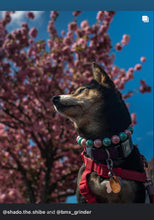 Load image into Gallery viewer, Cotton Candy Shine Bead Collar - SALE