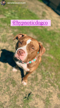 Load image into Gallery viewer, Cotton Candy Shine Bead Collar - SALE
