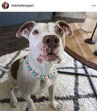 Load image into Gallery viewer, Cotton Candy Shine Bead Collar - SALE