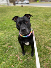 Load image into Gallery viewer, Pastel Rainbow Acrylic Bead Collar