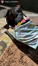 Load image into Gallery viewer, š¼ Multicolor Daisies š¼ Silicone Bead Collar
