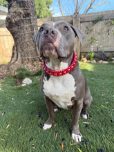Load image into Gallery viewer, Lunar Red Triplo Acrylic Bead Collar