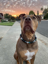 Load image into Gallery viewer, Haunted Nights Bead Collar