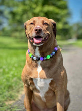 Load image into Gallery viewer, Midnight Cauldron Halloween Glow Bead Collar