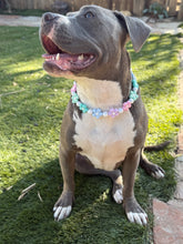 Load image into Gallery viewer, š¼ Spring Fling Daisies š¼ Silicone Bead Collar