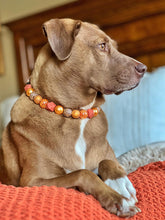 Load image into Gallery viewer, Autumn Leaves š Bead Collar