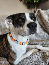 Load image into Gallery viewer, Orange Boo š» Halloween Glow Bead Collar