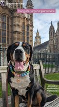 Load image into Gallery viewer, Pastel Rainbow Acrylic Bead Collar