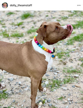 Load image into Gallery viewer, Rainbow š Acrylic Bead Collar