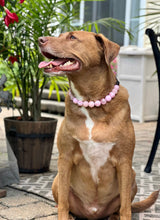 Load image into Gallery viewer, Pink Rodeo Bead Collar