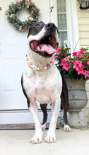 Load image into Gallery viewer, š¼ Vintage Daisies š¼ Silicone Bead Collar
