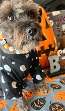 Load image into Gallery viewer, Orange Boo š» Halloween Glow Bead Collar