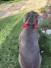 Load image into Gallery viewer, Lunar Red Triplo Acrylic Bead Collar