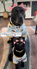 Load image into Gallery viewer, š Pastel Bow š Bead Collar