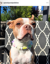 Load image into Gallery viewer, š Pastel Bow š Bead Collar