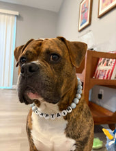 Load image into Gallery viewer, Sky Blue Resin Bead Collar