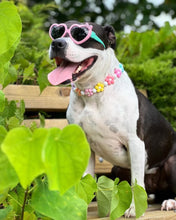 Load image into Gallery viewer, š¼ Multicolor Daisies š¼ Silicone Bead Collar