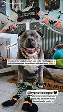 Load image into Gallery viewer, Orange Boo š» Halloween Glow Bead Collar