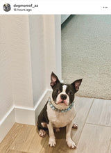 Load image into Gallery viewer, Sky Blue Resin Bead Collar