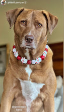 Load image into Gallery viewer, Red Frosty ⛄️ Bead Collar