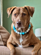 Load image into Gallery viewer, "The Big Lebowski" Acrylic Bead Collar