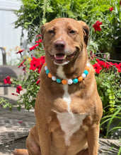 Load image into Gallery viewer, Tropicana Acrylic Bead Collar