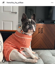 Load image into Gallery viewer, Orange Boo š» Halloween Glow Bead Collar
