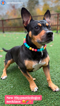 Load image into Gallery viewer, Rainbow Surf Acrylic Bead Collar