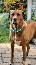 Load image into Gallery viewer, Coastal Gray Acrylic Bead Collar