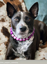 Load image into Gallery viewer, Electric Purple Acrylic Bead Collar
