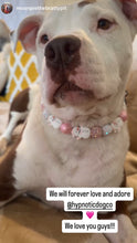 Load image into Gallery viewer, Pink Frosty ⛄️ Bead Collar