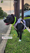 Load image into Gallery viewer, Neon Highlighter Yellow Acrylic Bead Collar