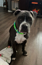 Load image into Gallery viewer, Neon Tropic Glow Acrylic Bead Collar