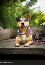 Load image into Gallery viewer, Technicolor Glitter Bead Collar