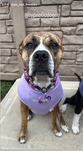 Load image into Gallery viewer, Purple Haze Bead Collar