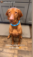 Load image into Gallery viewer, Blue Ombre Silicone Bead Collar