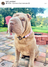 Load image into Gallery viewer, Pink Rodeo Bead Collar