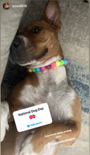 Load image into Gallery viewer, Neon Rainbow š Bead Collar