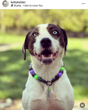 Load image into Gallery viewer, Midnight Cauldron Halloween Glow Bead Collar