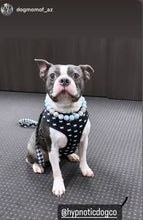 Load image into Gallery viewer, Sky Blue Resin Bead Collar