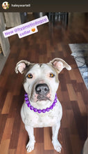 Load image into Gallery viewer, Grape Resin Bead Collar