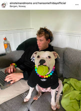Load image into Gallery viewer, Rainbow š Acrylic Bead Collar