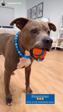 Load image into Gallery viewer, Blue Ombre Silicone Bead Collar