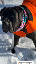 Load image into Gallery viewer, Violet Crystal Bead Collar