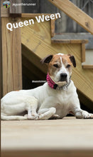 Load image into Gallery viewer, Magenta Rain Triplo Acrylic Bead Collar